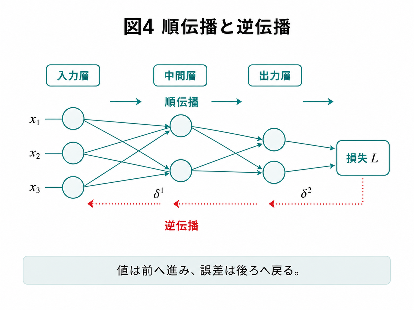 ニューラルネットワークの順伝播と逆伝播